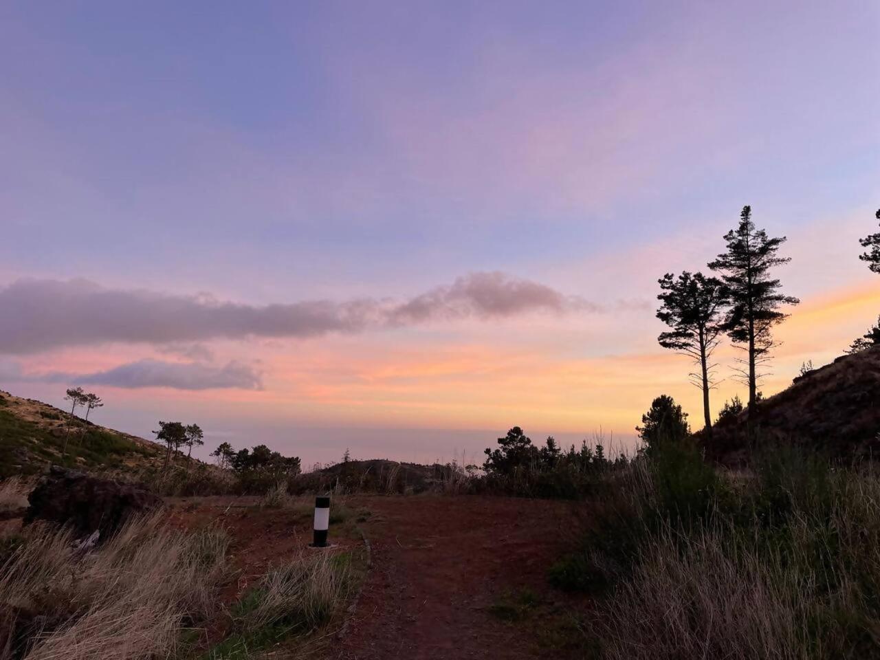 Mountain Eco Shelter 7 Funchal (Madeira) Exterior foto