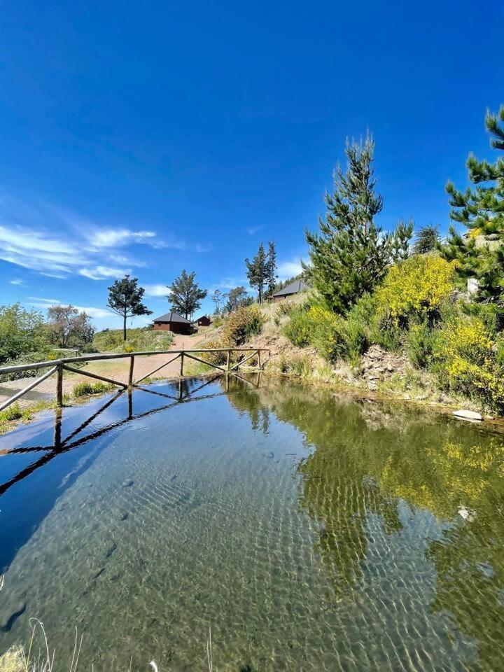 Mountain Eco Shelter 7 Funchal (Madeira) Exterior foto