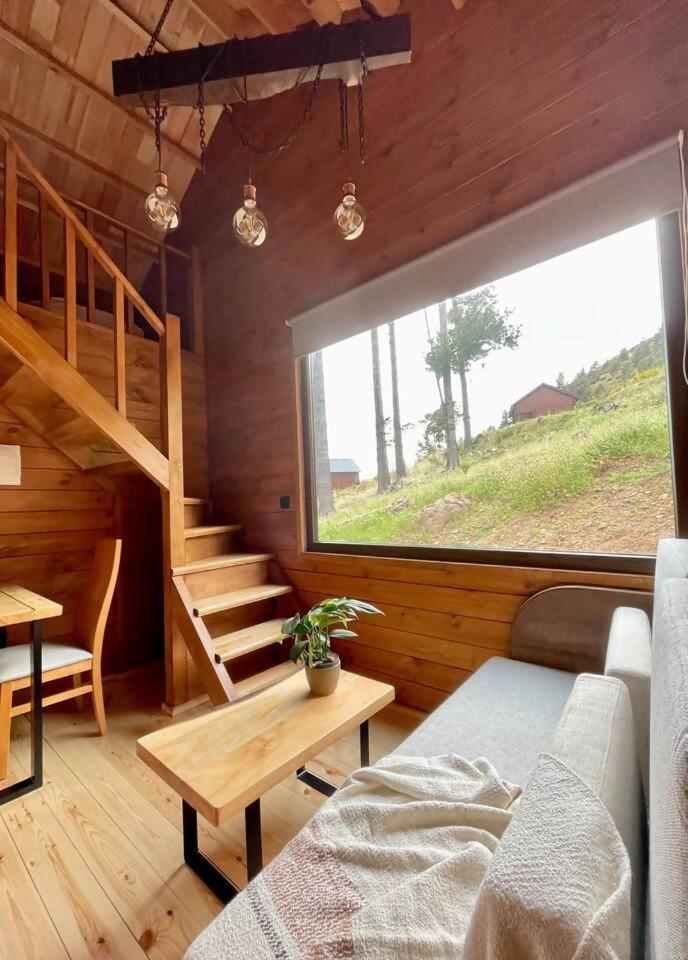 Mountain Eco Shelter 7 Funchal (Madeira) Exterior foto