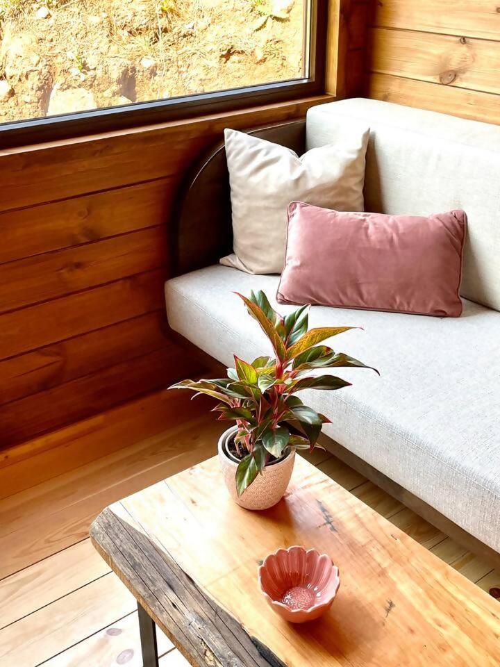 Mountain Eco Shelter 7 Funchal (Madeira) Exterior foto